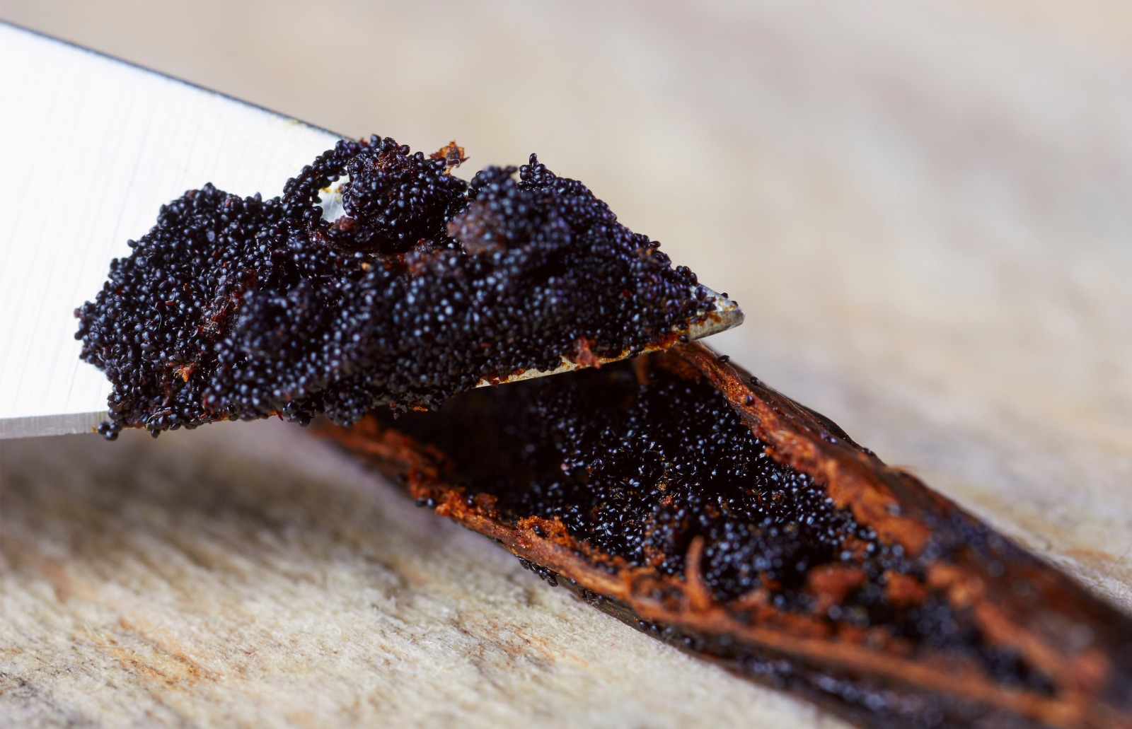 Close-up vanilla bean seeds